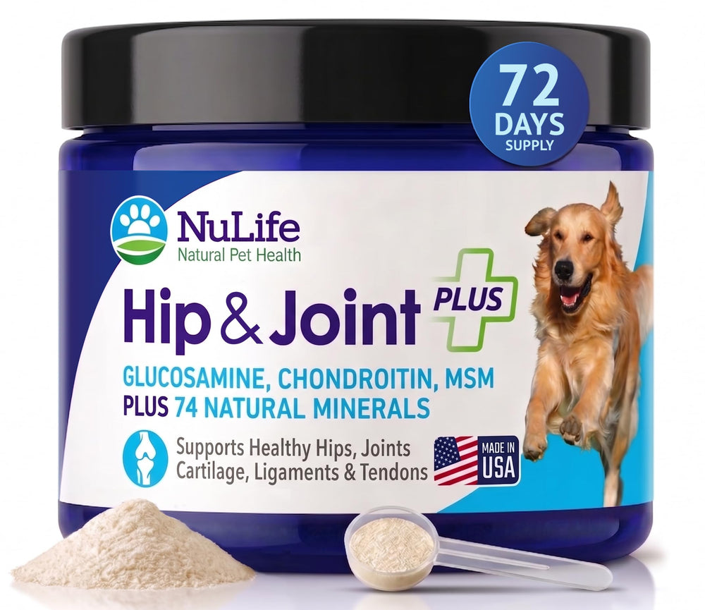 NuLife Advanced Glucosamine powder bottle supports dog joint health.