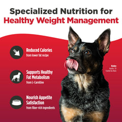 Dog enjoying a meal of Nulo FreeStyle Adult Trim.