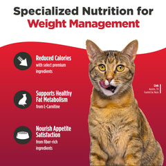 Nulo FreeStyle salmon kibble close-up emphasizes high-protein nutrition for lean cats