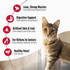 Nulo Freestyle probiotics image emphasizes digestive health and immune resilience