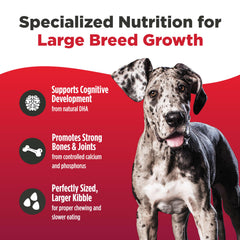 Nulo Freestyle kibble with bone and joint support for healthy mobility
