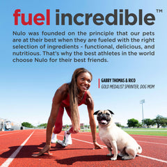 Nulo Freestyle Puppy kibble closeup highlighting protein-rich texture for growth