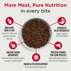 Nulo Frontrunner puppy mealtime bowl for steady energy