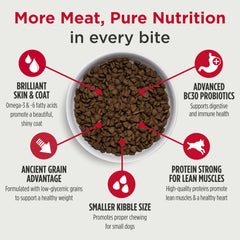 Nulo Frontrunner small breed kibble with ancient grains supporting steady energy.
