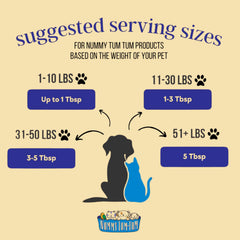 Nummy Tum Tum 12-pack box of organic pumpkin for dogs and cats, bulk supply.