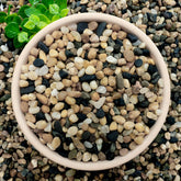 NUPICK 6 lb aquarium gravel quarter-inch for clean water flow and balanced tank aesthetic