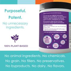 NUSENTIA Enzyme Miracle powder on food supports digestion.