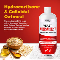 NutraLeonis shampoo bottle beside oatmeal for dry skin comfort.