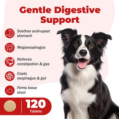 NutraLeonis Slippery Elm dogs bottle label, organic vet formulated care.
