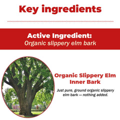 NutraLeonis Slippery Elm dogs feeding routine, gentle digestive support.