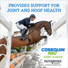 Nutramax Cosequin ASU pellets being dispensed for easy dosing.