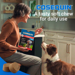 Beta-glucan included in Nutramax Cosequin for immune support