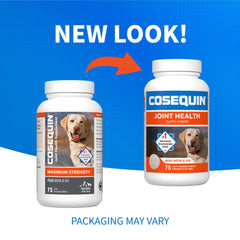 Nutramax Cosequin dog chew tablet closeup showing tasty treat