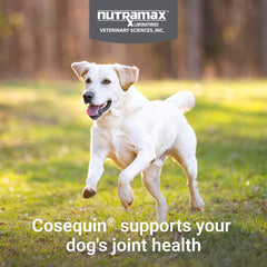 Cosequin dog ingredients glucosamine and chondroitin on the label