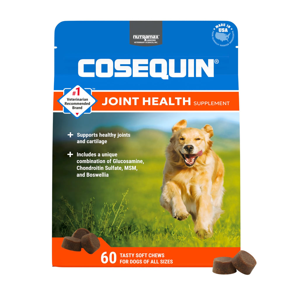 Nutramax Cosequin DS Plus MSM soft chews in bottle support joint comfort