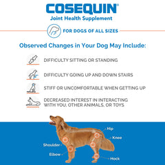 Nutramax Cosequin product label detailing ingredients and dosage guidance
