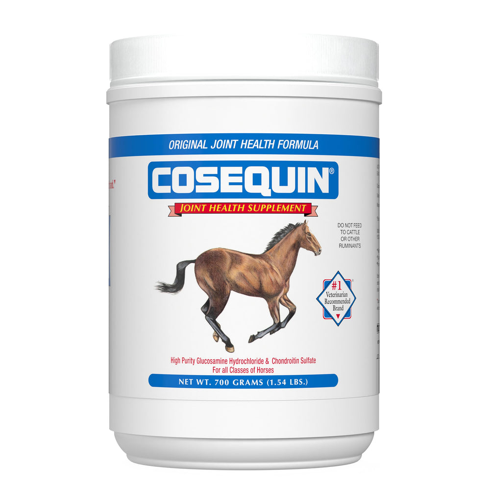 Nutramax Cosequin Original powder bottle front offering trusted joint support for horses.
