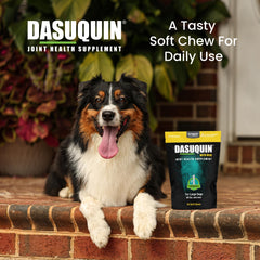 Nutramax Dasuquin ASU MSM Boswellia green tea blend for joint care.