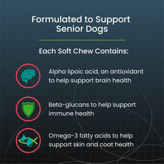 Nutramax Dasuquin bottle display emphasizing joint health for dogs
