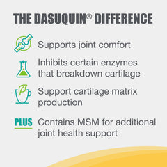 Nutramax Dasuquin dog at play supporting joint mobility