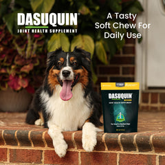 Nutramax Dasuquin ingredients list featuring glucosamine and chondroitin.
