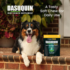 Nutramax Dasuquin large dogs bottle cap closeup highlights simple administration