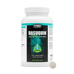 Nutramax Dasuquin for large dogs bottle showing joint health chews for daily support.