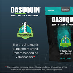Nutramax Dasuquin large dogs soft chews close-up highlighting texture.