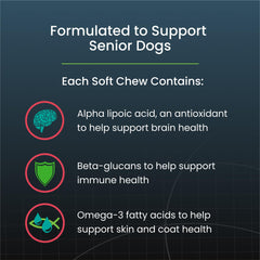 Senior dog enjoying Dasuquin chews as part of daily routine