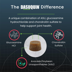 Dasuquin soft chews close-up showing texture for seniors