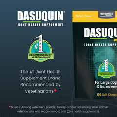 Nutramax Dasuquin soft chews close-up, easy daily dosing for dogs