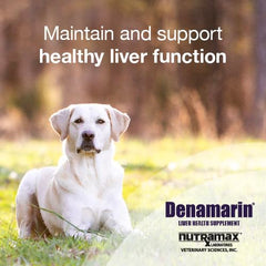 Nutramax Denamarin dog chewable tablets for easy daily dosing.
