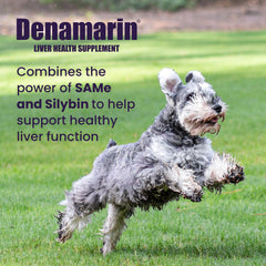 Denamarin coated tablets close-up showing easy daily dosing