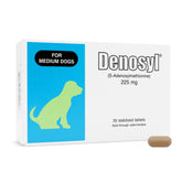 Nutramax Denosyl bottle front for dogs, highlighting liver support for medium breeds.