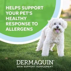 Nutramax Dermaquin hardy kiwi ingredient hints at traditional allergen support.