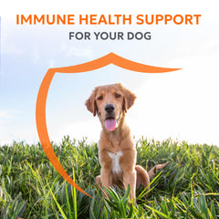 Nutramax Imuquin label highlighting beta glucans and omega-3 benefits