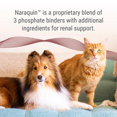 Nutramax NARAQUIN capsules on food bowl demonstrate convenient administration.