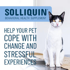 Nutramax Solliquin dog chews shown to ease everyday stress during routines.