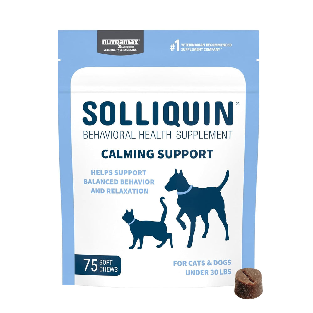 Nutramax Solliquin soft chews bottle demonstrates daily calm support for pets.