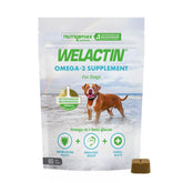 Nutramax Welactin soft-chews bottle for daily omega-3 support in dogs