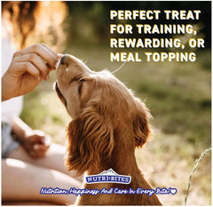 Nutri Bites salmon treats close-up highlights single-ingredient nutrition for dogs and cats