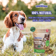 Nutri Bites single-ingredient beef liver treats for easy rewards.