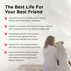 Nutri-Vet Allerg-Eze label USA made emphasizes veterinarian formulation