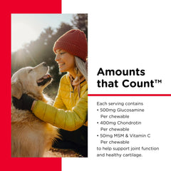 Nutri-Vet glucosamine chondroitin MSM formula chews for joint support.