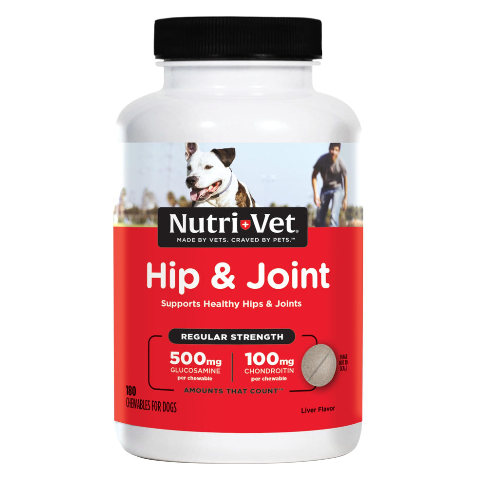 Nutri-Vet Hip and Joint chews bottle supports dog mobility.