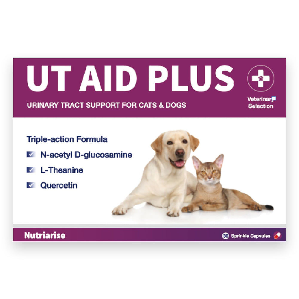 Nutriarise UT Aid Plus capsules in bottle, enabling easy daily dosing for cats and dogs.