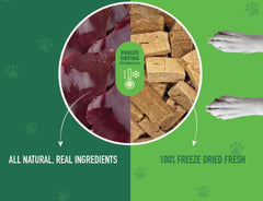 Nutri Bites freeze-dried beef liver treats close-up texture showing crisp, protein-rich surface.