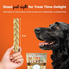 NutriChomps braids supporting dental hygiene during chewing