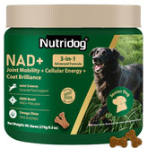 Nutridog NMN supplement bottle highlighting 40 mg NMN for senior dogs