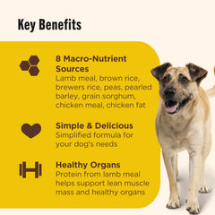 Nutrish dry dog food in a bowl ready for mealtime